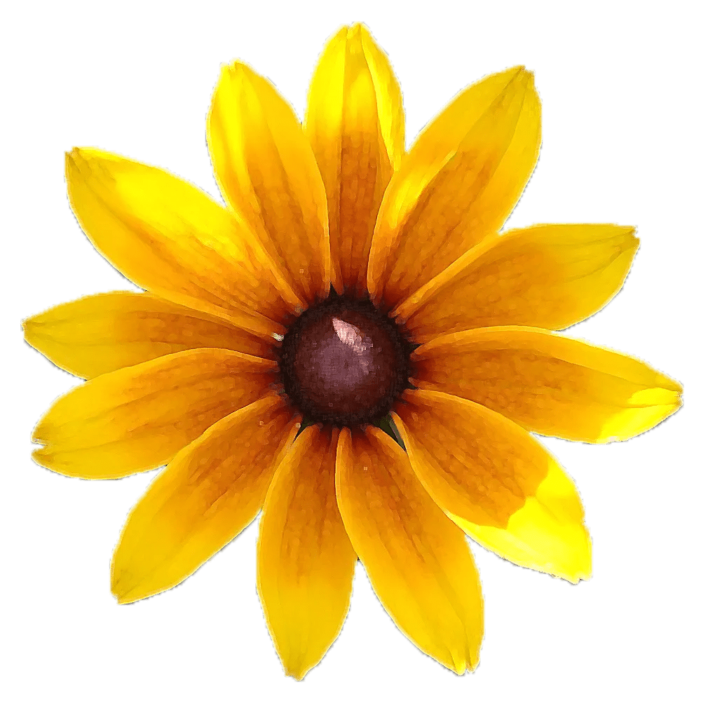 The absolute best restaurants in downtown amarillo [updated 2025]