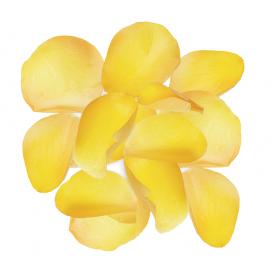 Yellow flower clipart flower petal, hd png download, free download. Fresh Rose Petals Premium