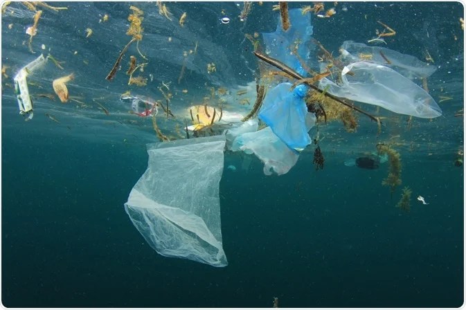 Human and ocean health impacts of ocean plastics￼