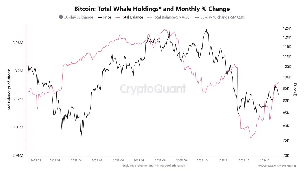 Whales holding chart.