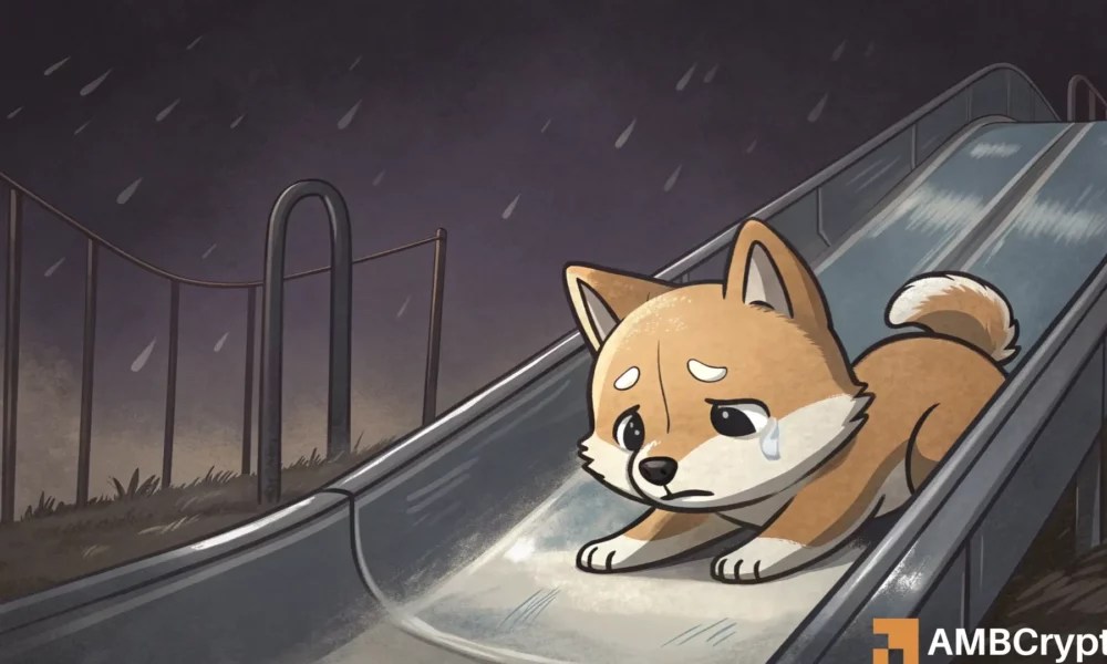 BONK drops 18% as memecoins slide – Is another leg down coming?