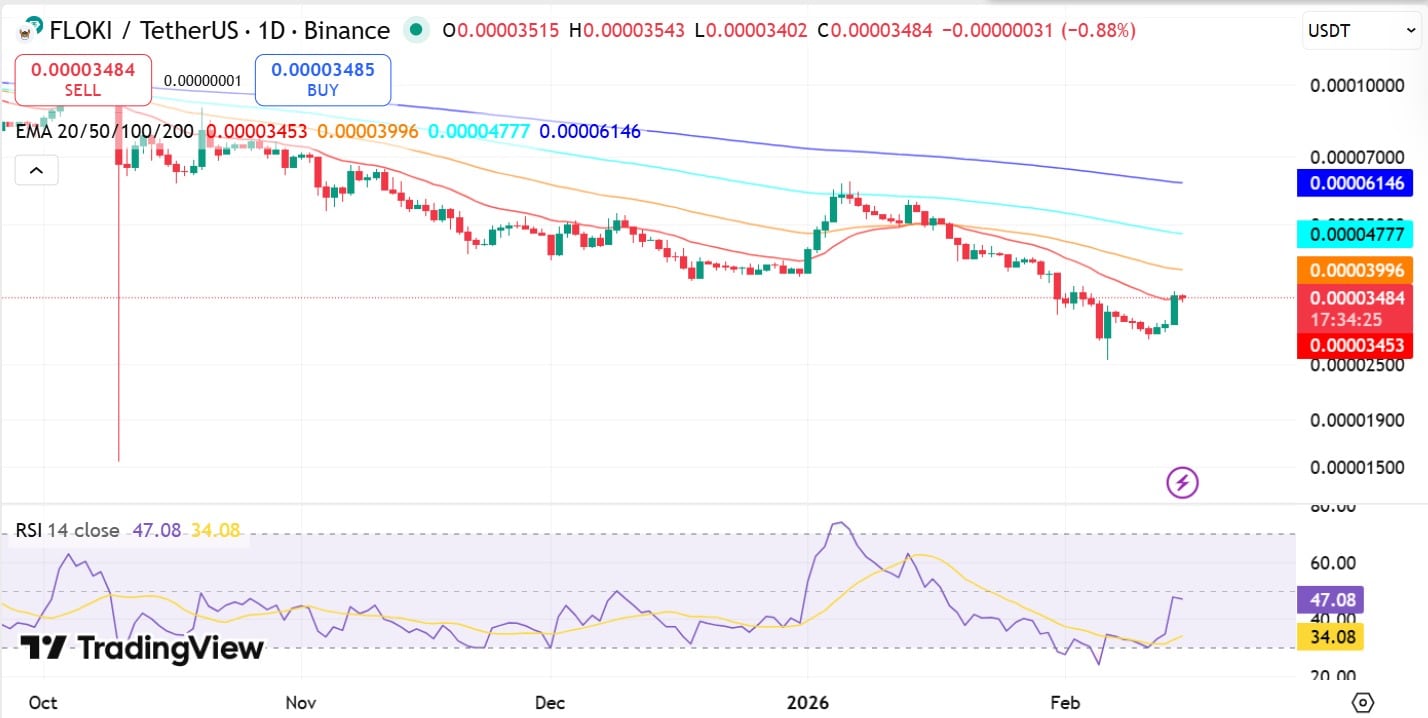 Floki relative strength index
