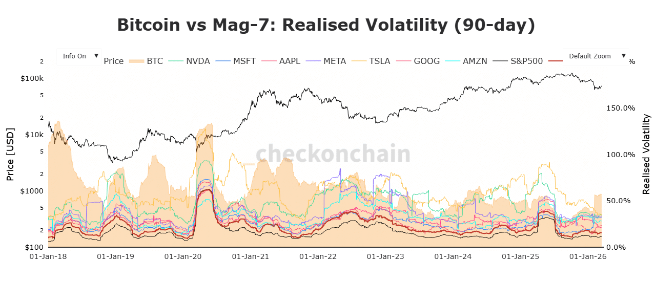Bitcoin v Mag 7 volatility