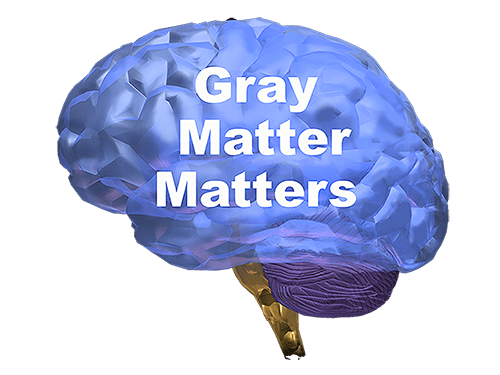 brain logo small.webp
