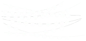 string lights ambient dazzle dim corporate sc event columbia lighting services wellness bible church way center