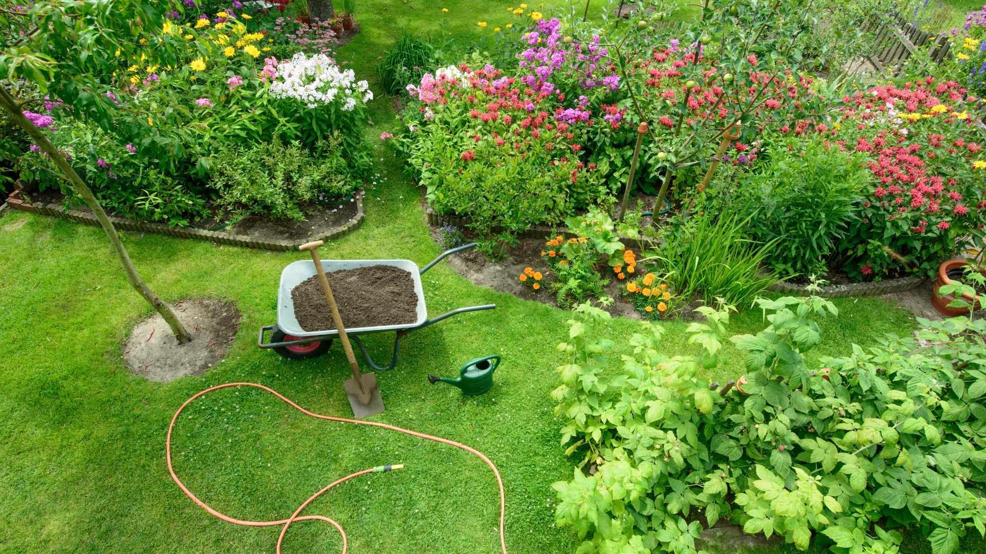 beautiful landscape are easy with biochar blends, water, and a little patience.