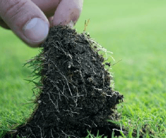 Healthy soil is the result of good agricultural practices, and the addition to degraded soil of biochar, nutrients, and microbial populations.