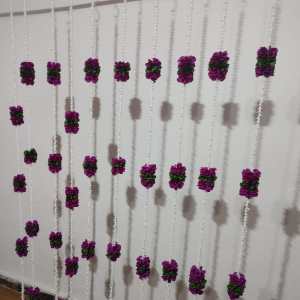 lilly Hangings