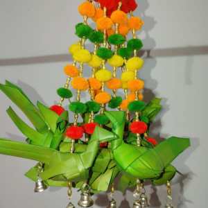 Small Parrot Hanging