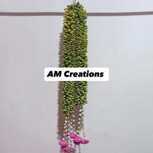 Palm Hangings