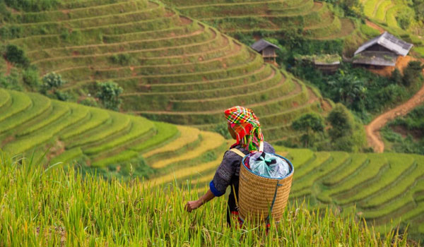 https://i0.wp.com/amendaventures.in/wp-content/uploads/2021/03/Agribusiness..jpg?fit=600%2C350&ssl=1