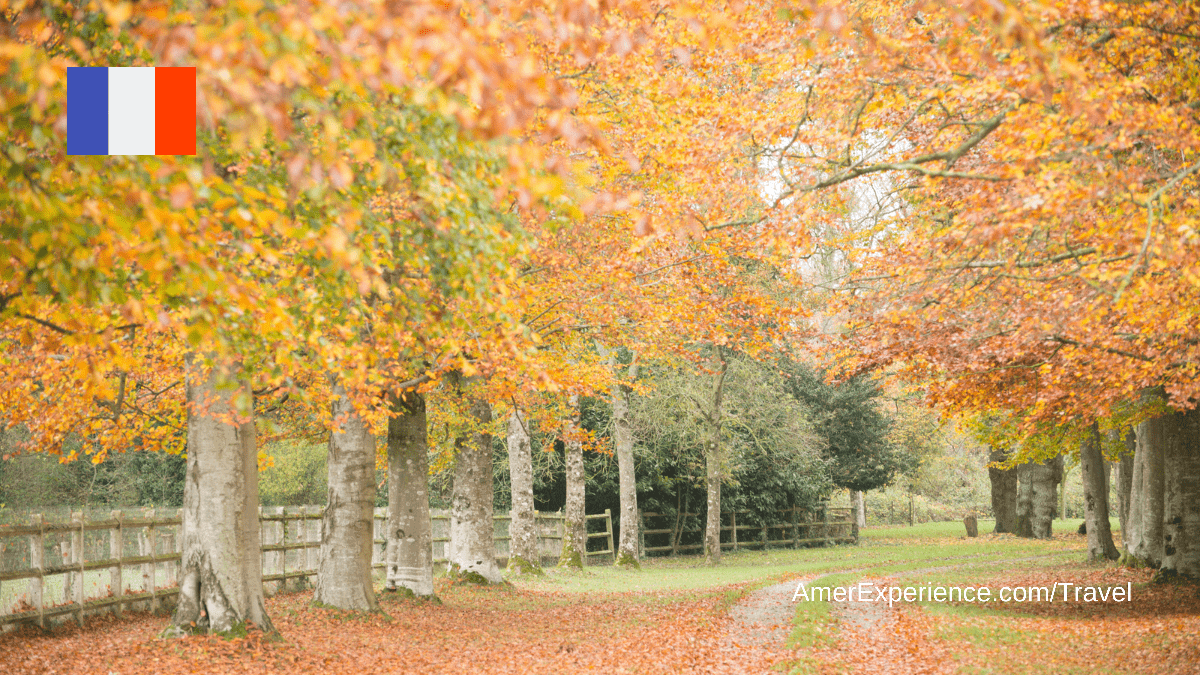 20 great autumn breaks across France: a season of great tastes