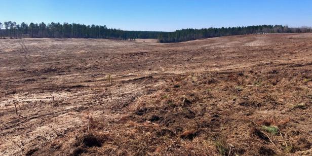 image 58 - Travel and Golf Influencer - AmerExperience Content Curator