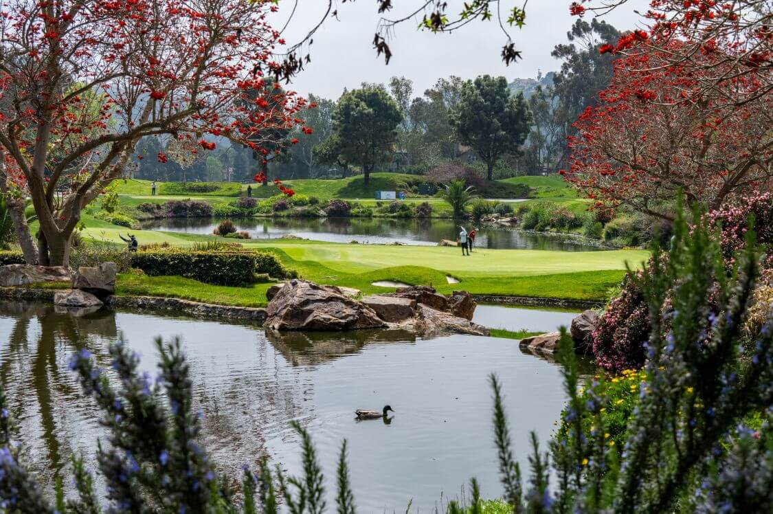 image 185 - Travel and Golf Influencer - AmerExperience Content Curator