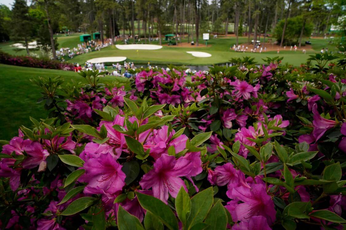 image 68 - Travel and Golf Influencer - AmerExperience Content Curator