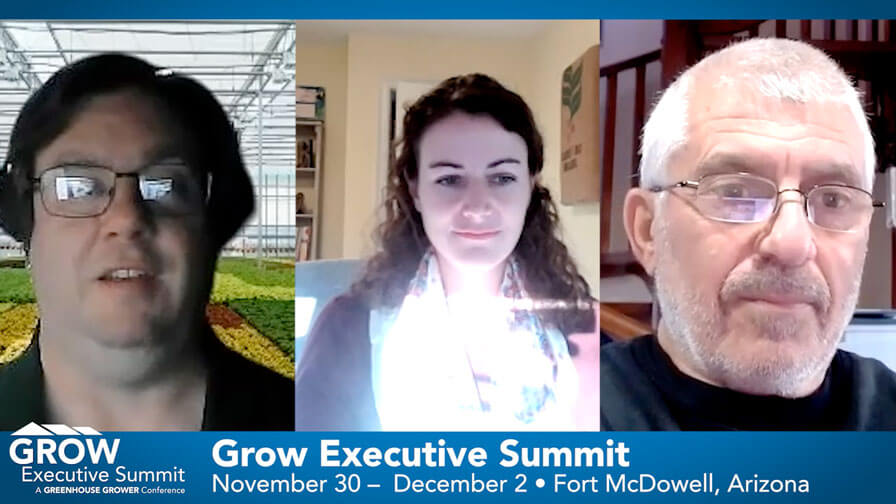 image 110 - Travel and Golf Influencer - AmerExperience Content Curator