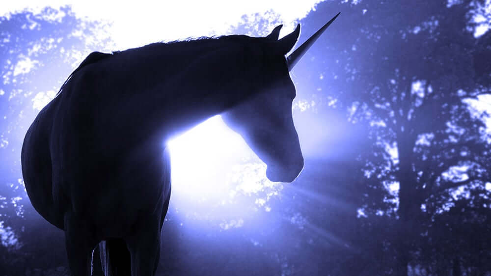 image 79 - Travel and Golf Influencer - AmerExperience Content Curator