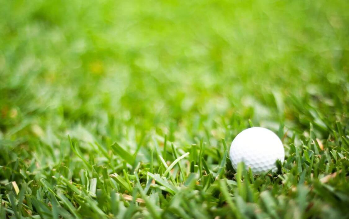 image 80 - Travel and Golf Influencer - AmerExperience Content Curator