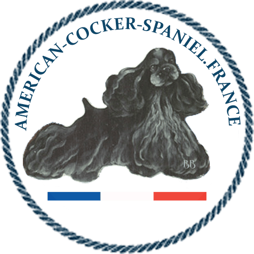 logo cocker américain noir Barbara Butler