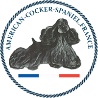 logo cocker américain noir Barbara Butler