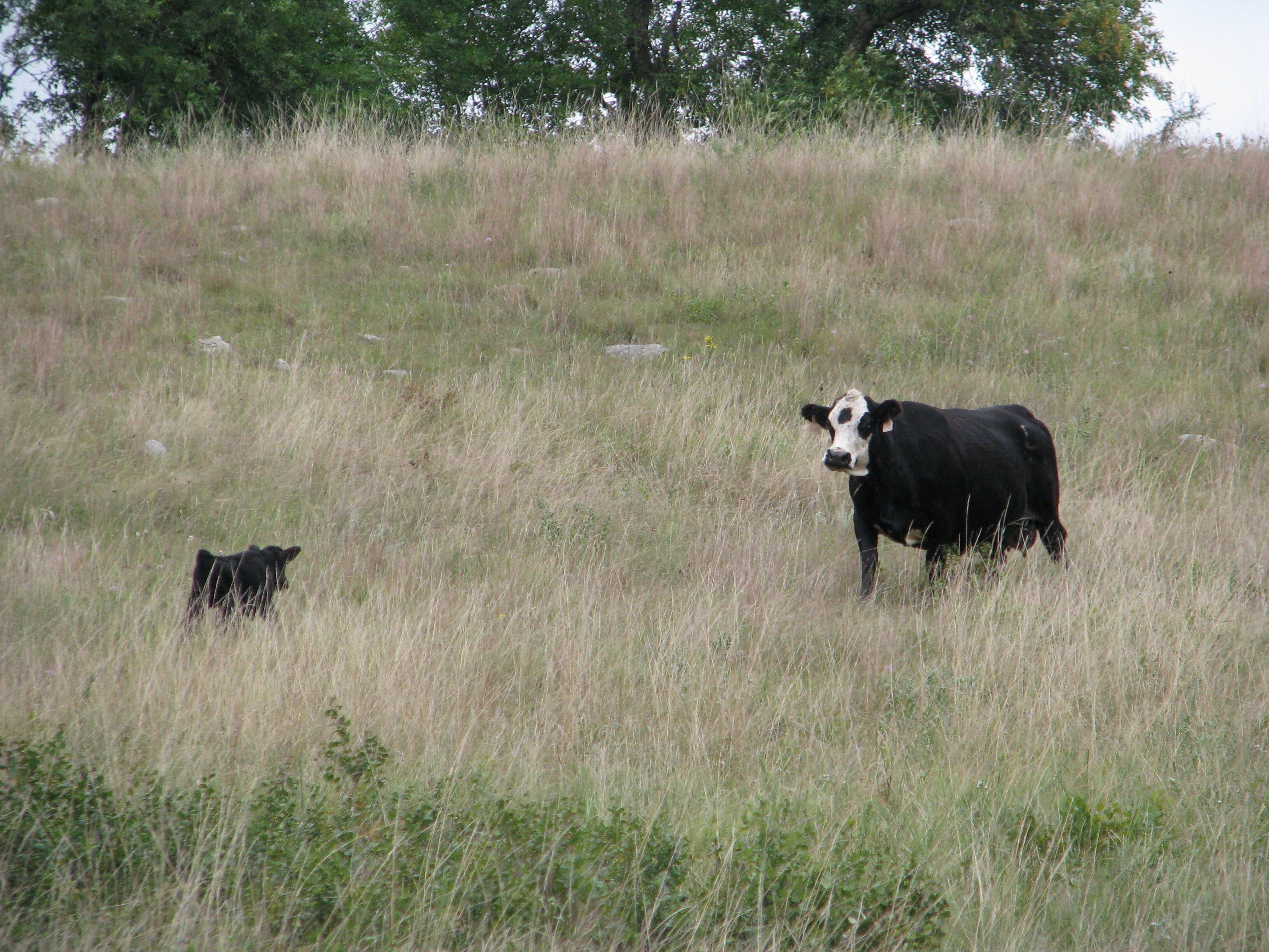 "Oh, there you are!"