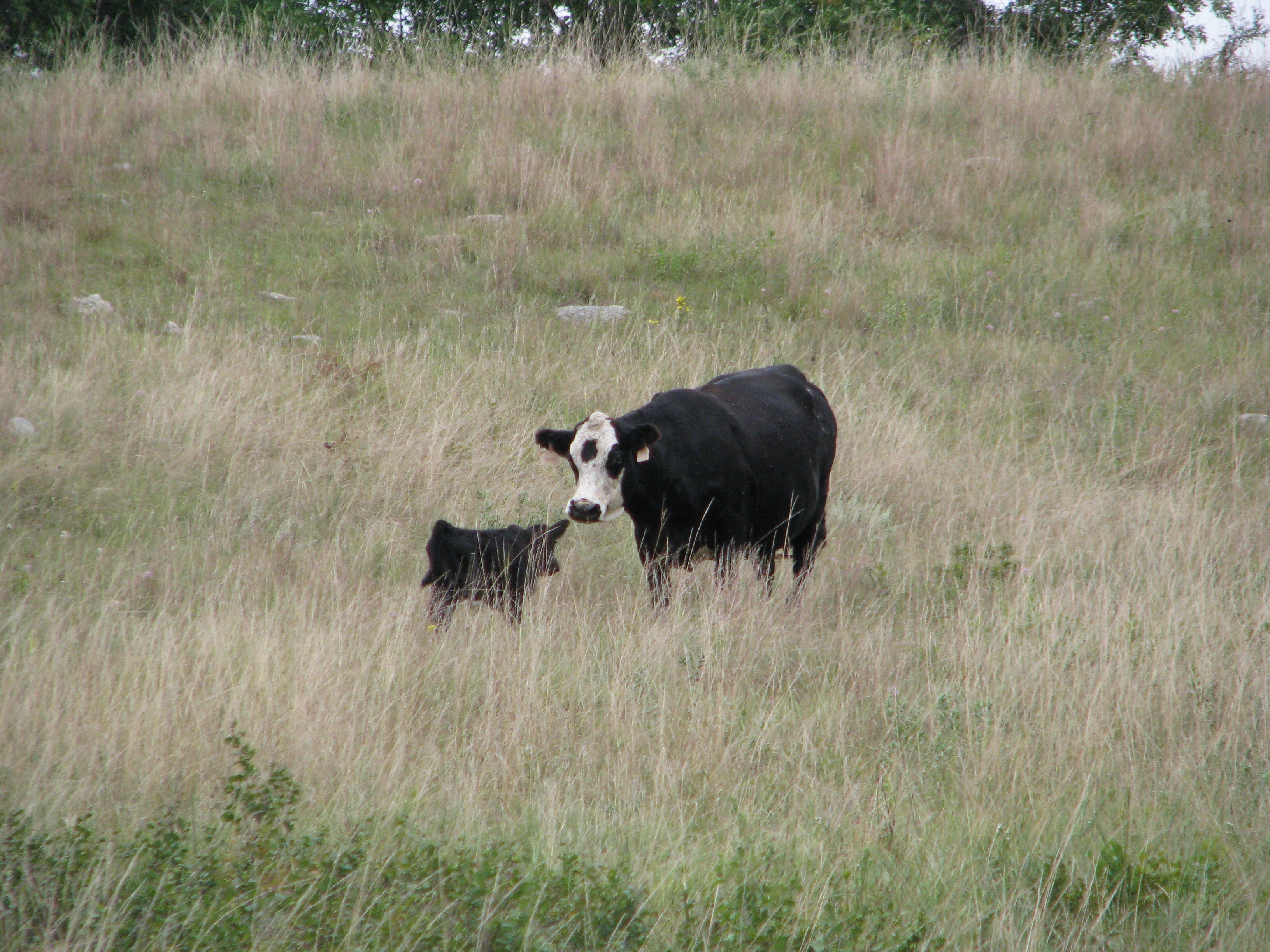 "I've been looking all over for you!"