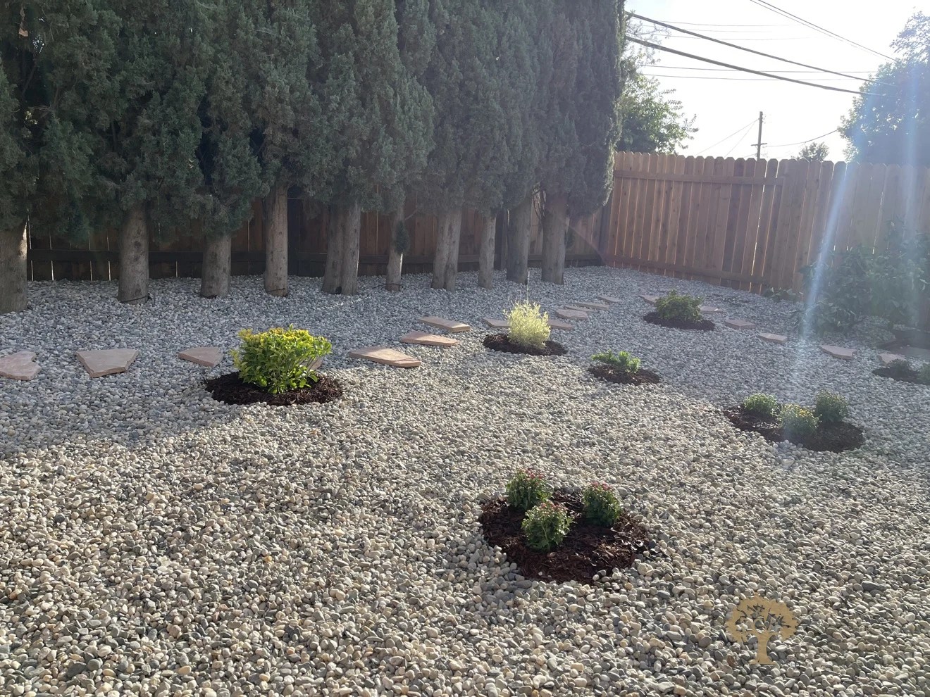 Carmichael Backyard Landscaping – Finished Decorative Gravel Xeriscape – American Gardens Landscaping