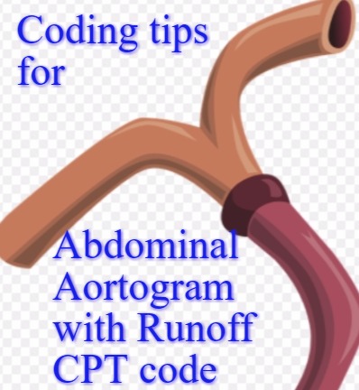 Abdominal Aortogram with runoff cpt code