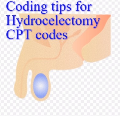 Coding tips for Hydrocelectomy CPT code