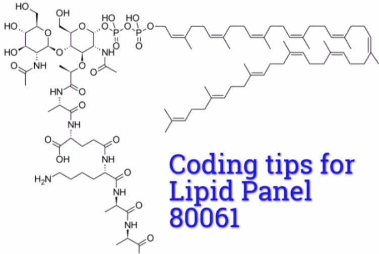 CPT code 80061 Coding tips in Laboratory test