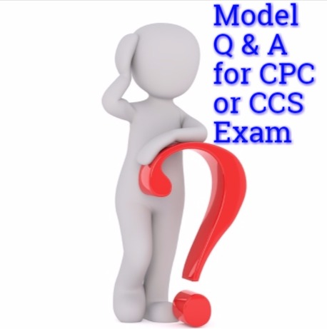 Model Question and Answers for Medical Coding Certification Exams