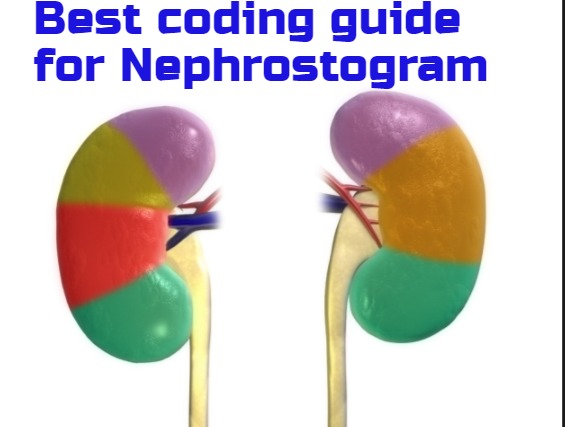 Best Coding Guide for Nephrostogram Procedures