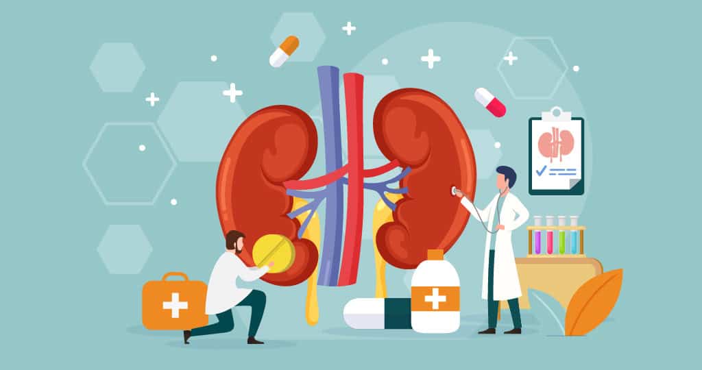 Illustration with kidneys and doctors looking at the kidneys surrounded by medical supplies