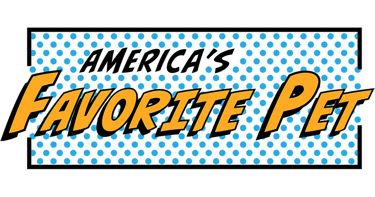 americas favorite pet on america's favorite pet kurt