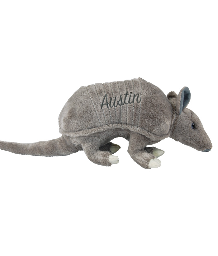 armadillo teddy