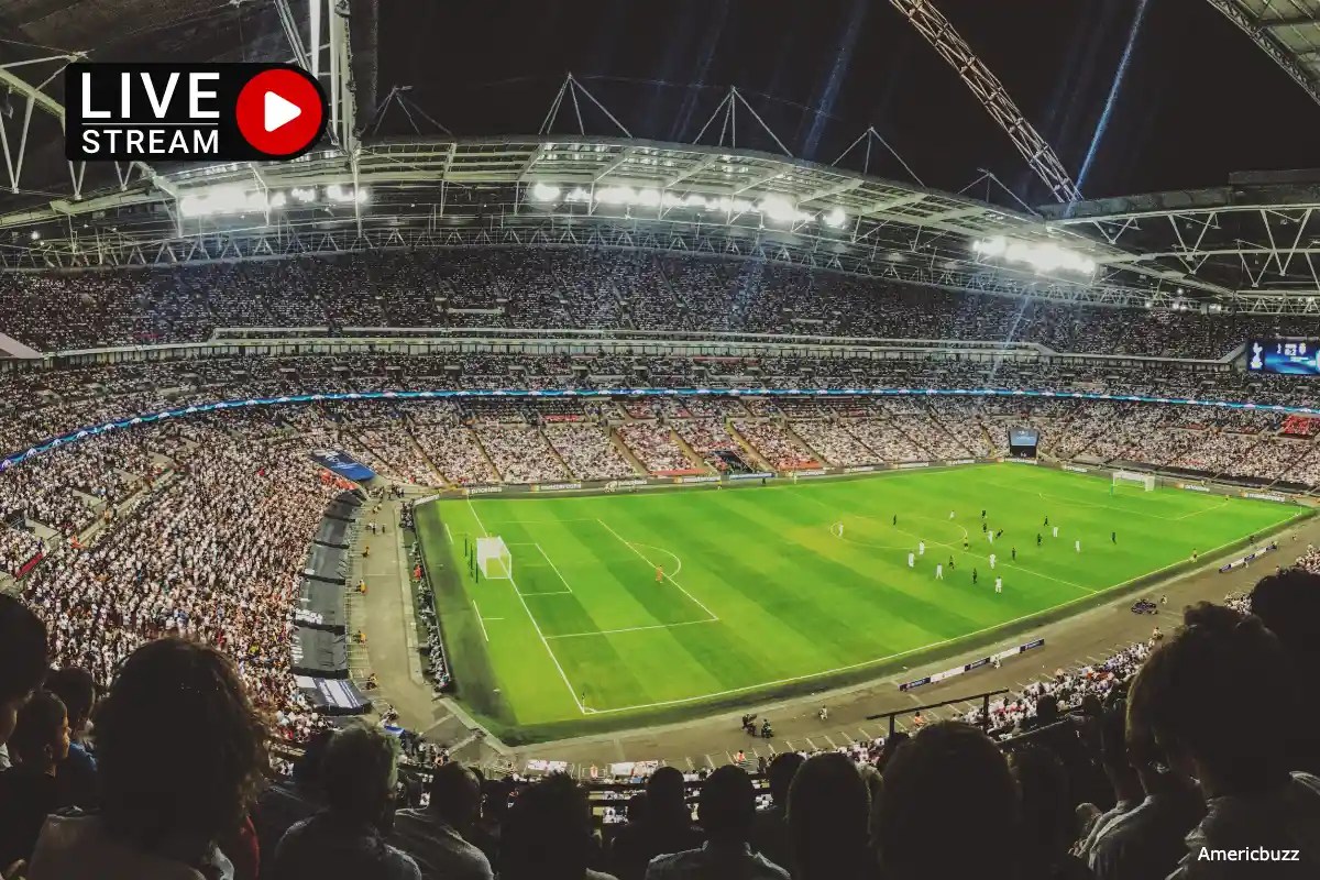10 Best Websites Like VIPBox For Streaming Sports | VIPBox Alternatives