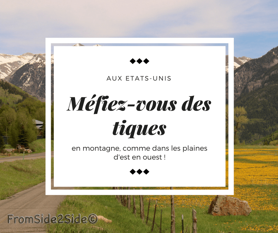 tiques aux Etats-Unis