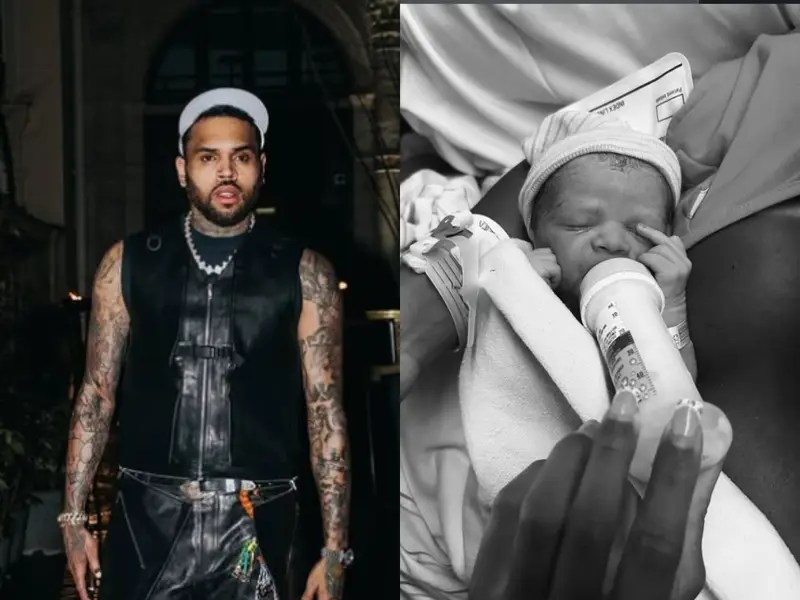 Chris Brown welcomes another child as partner shares first photos
