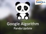 Google Algorithm Panda Update Amfill