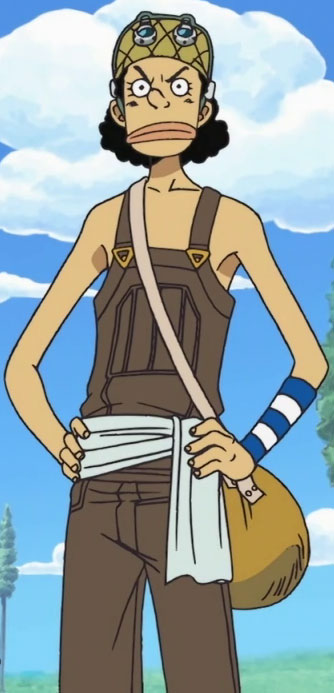 The crew's number increases throughout the series, as luffy recruits new members. Usopp from One Piece