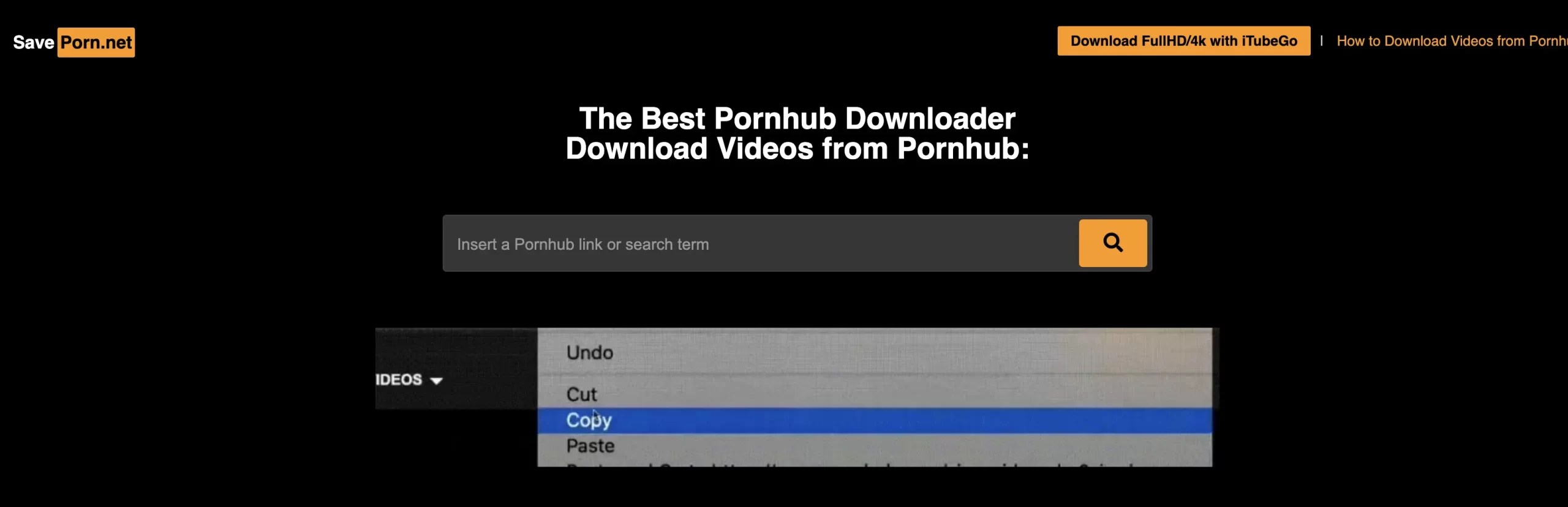 Best Pornhub Downloader: Download Videos from Pornhub
