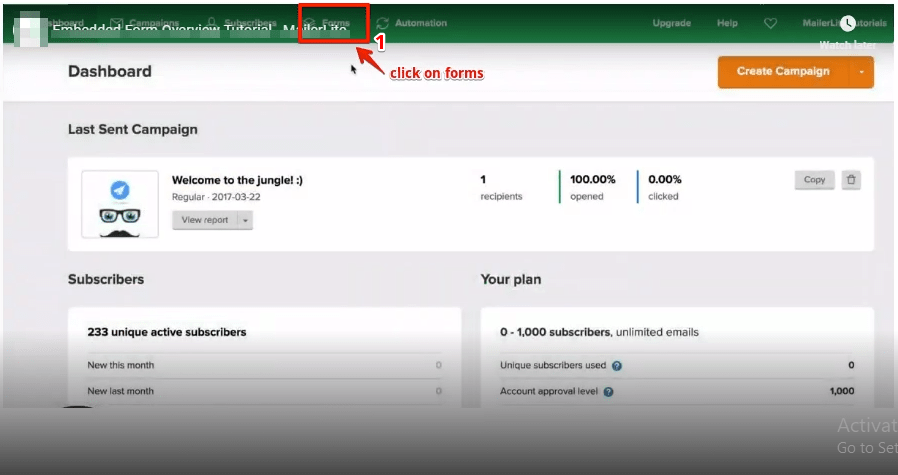 Find out what signing an aop does for fathers. How To Create Mailerlite Form In Amp Amp Tutorials