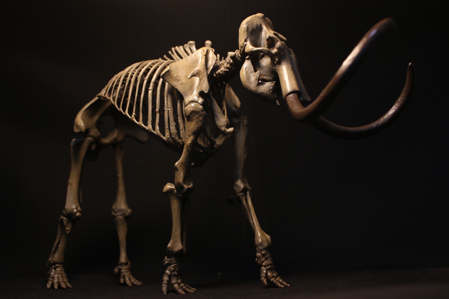 2322 マンモスの骨のレプリカ