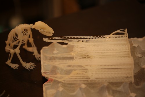 ツキノワグマ の全身骨格を3D化してレプリカを製作したので報告します