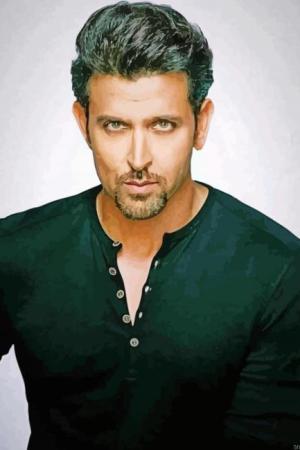 Actor Hrithik Roshan Paint By Numbers.jpeg