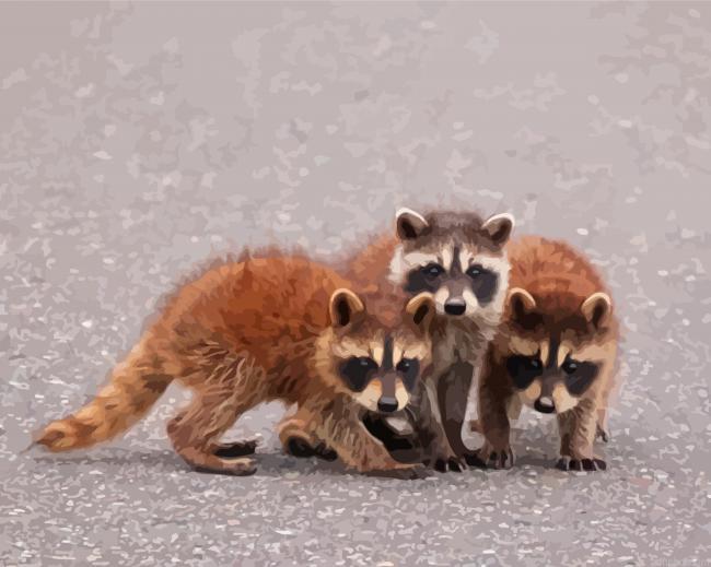 Baby Raccoons Paint By Numbers