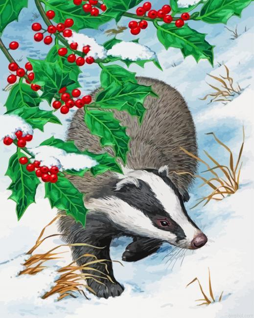 Badger In Snow Paint By Numbers