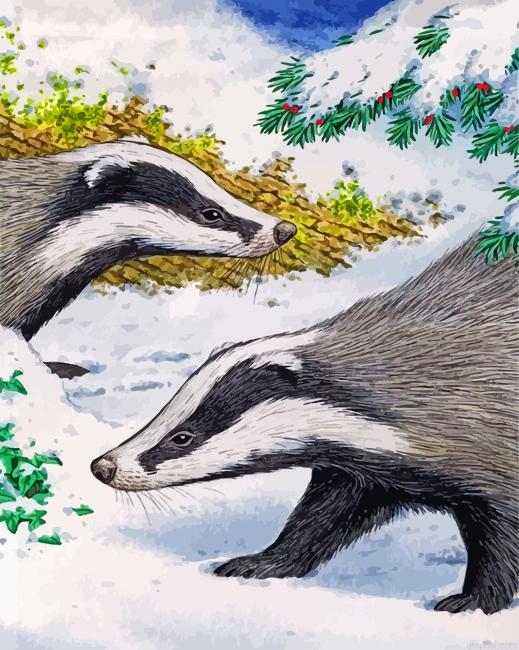 Badgers In Snow Paint By Numbers