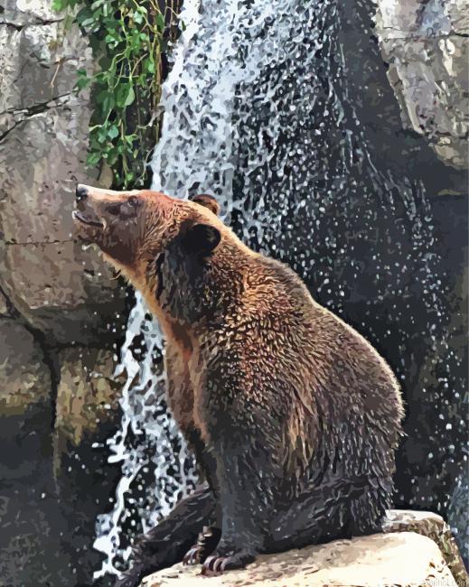 Bear In Waterfall Paint By Numbers