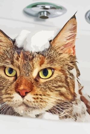 Cat In Shower Paint By Numbers.jpeg